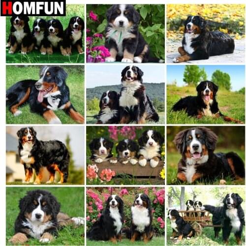 HOMFUN Diamond Painting Cross Stitch "Dog animal landscape" 5D DIY Diamond Embroidery Full Square/round Rhinestone Of Picture