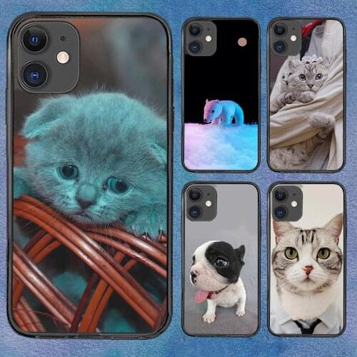 Dog Cat Cute Phone Case For iphone 12 11 6 Mini Pro XS Max X XR 7 12 Plus Soft TPU Cover 12Pro 11Pro 12Mini