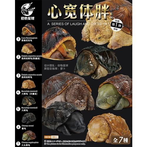 Animal Planet Buddha snapping turtle real snapping turtle big head tortoise black turtle tide play figure Climbing pet model