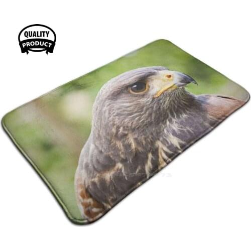 Desert Buzzard Harris Hawk Comfortable Door Mat Rug Carpet Foot Pad Buzzard Desert Buzzard Harris Hawk Falcon Hunt Falconry