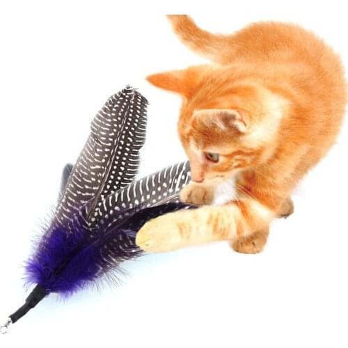 5pcs Cat Feather Toy Cat Feather Teaser Wand Toy Interactive Funny Training Toy Pet Playing Cat Toys Pet Supplies