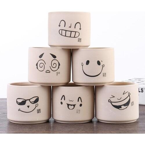 Simple and Creative Potted Succulent Plants Hand-painted Expression Package Ceramic Flowerpot Decoration Succulents Planter Pot