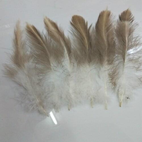 Wholesale 50pcs / lot beautiful rare eagle feathers long 6-8 inch / 15-20 cm DIY decoration