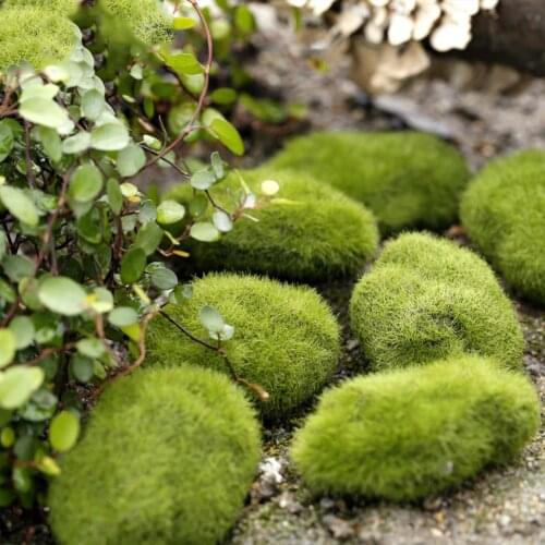 1Pcs Miniature Moss Stone Artificial Moss Lawn Micro Landscape Ornament Garden Diy Decoration