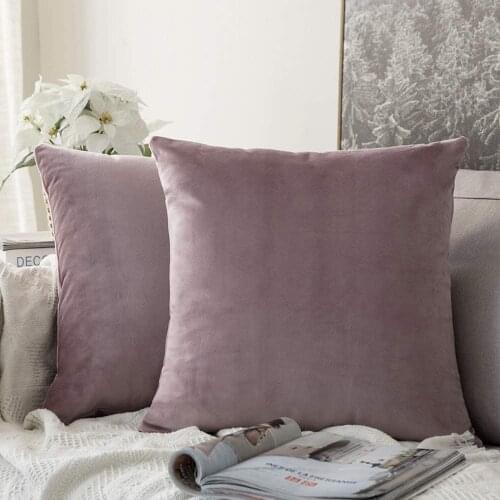 20 Inch Pack of 2, Velvet Soft Solid Decorative Square Throw Pillow Covers Set Cushion Cases Pillowcases for Sofa Bedroom Car