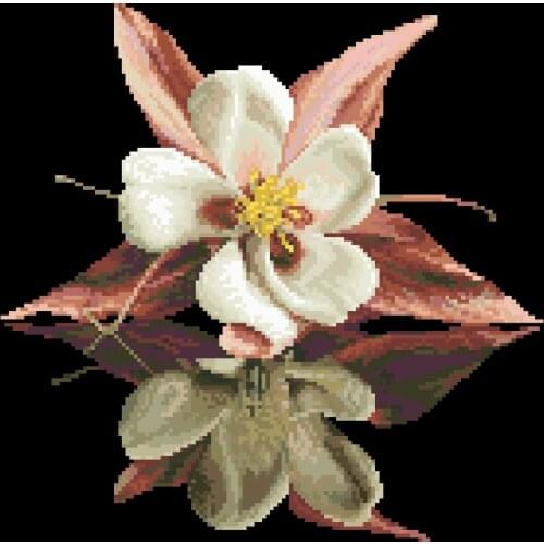 Waterside orchid cross stitch package flower aida 18ct 14ct 11ct black cloth people kit embroidery DIY handmade needlework