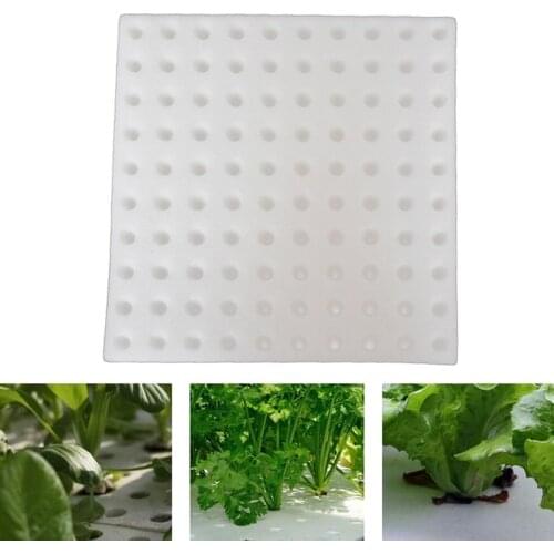 100Pcs Square Seedling Sponges for Greenhouse Hydroponic Sponge for Small Bud Growth or Grow Seedlings Planting Gardening Tool