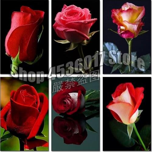 Flowers 5d Diy Diamond Painting Cross Stitch Red Rose Diamond Embroidery Mosaic Paintings Hobbies Full Rhinestone Gifts