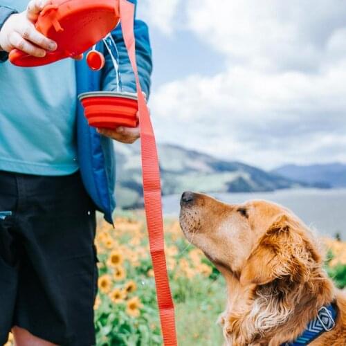 Durable Water Bottle Retractable Multi Dog Leash Extending Puppy Walking Leads Water Bottle Bowl Pet Running Leashes Dropship