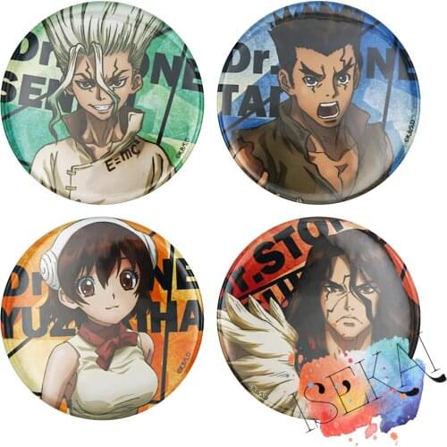 Dr.STONE Anime Badge Ishigami Senku Taiju Oki Yuzuriha Ogawa Tsukasa Shishio Metal Badge Brooch Pins