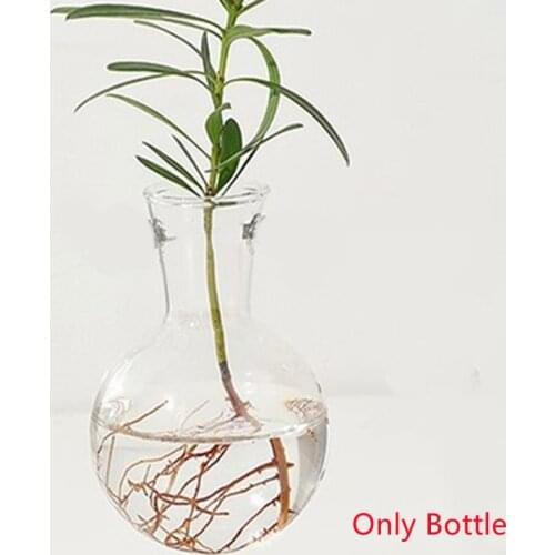 IVYSHION Interior Decor Items