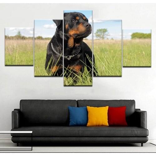 Rottweiler dog animal 5 panel HD Print modern Modular Wall posters Canvas Art painting For home living room decor