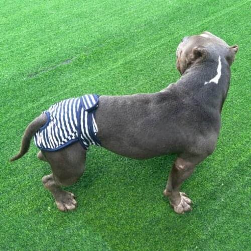 Pet Tools Cotton Dog Underwear Breathable Anti-Harassment Female Dog Physiological Pants Striped Diaper Shorts Pet Products