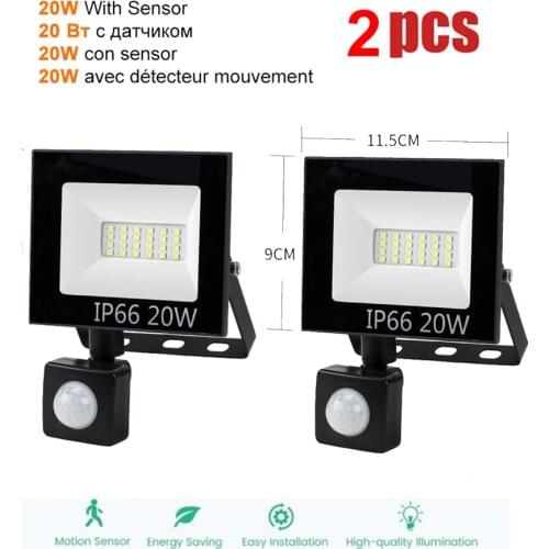 2 pcs 220V 10-100W LED FloodLight Spotlight Exterior Street wall reflector LED Garden Light Flamingo Lawn Lamp Lights Lamp Garde