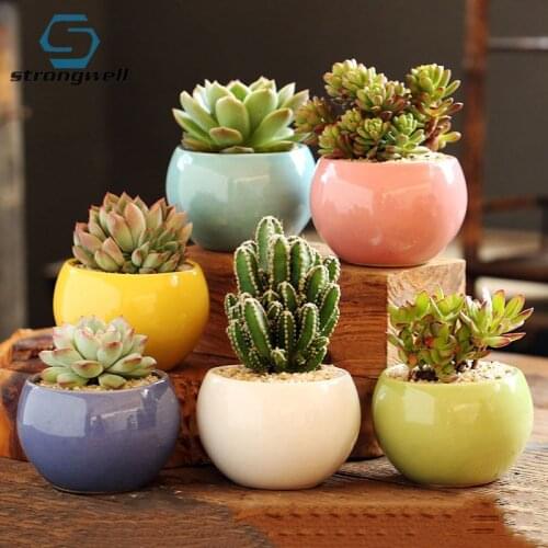 Mini Creative Ceramic Flower Pot Colorful Balls Succulent Office Desktop Homestay Gardening Potted Ornament Container