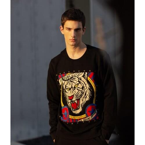 AlexPlein Tiger Rhinestones Stud Sweatshirt Men 100% Cotton Oversized Streetwear One Piece Man Clothing 2020 Winter Round Neck