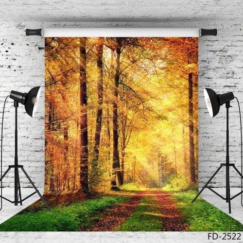 Autumn Fall Forest Fallen Leaves Path Leaf Road Sunshine Backdrop Photography Background Child Baby Portrait Photo Studio Props