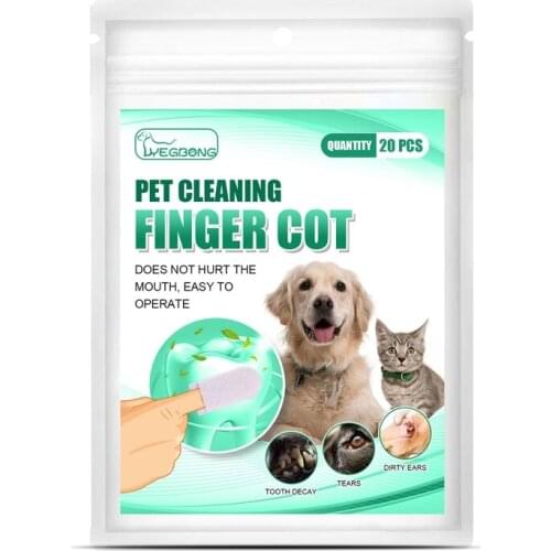 Let’s Pet  China