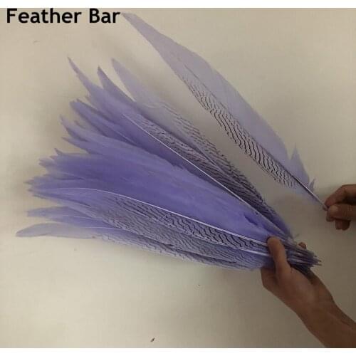 Light Purple Color Dyed Pheasant Feather 40-80cm 16-30Inches Long Silver Pheasant tails Plumes Natural Feathers For Carnival Dec