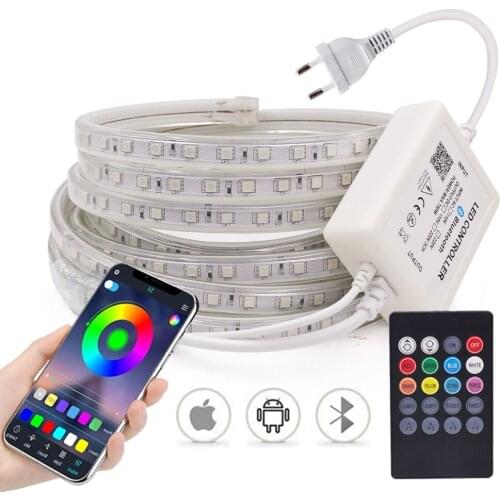 RGB LED Strip Flex Ribbon Lamp Bluetooth APP Control Tape Diode SMD5050 60Leds/m Waterproof Luces Led Light Music Sync Led Rope