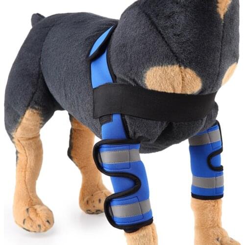 Black/Blue S/M/L Pet supplies knee pads Dog leggings guard pet protectors surgery injury protective cover Safety Care Training