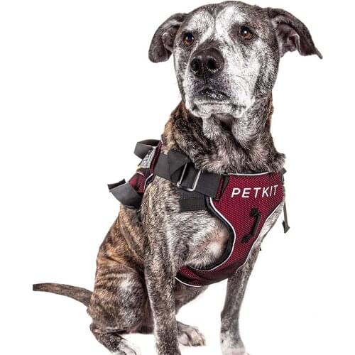 PETKIT Pet dogs collars and harnesses no pull puppy reflective vest harnesses chest for back small medium large dogs accessories
