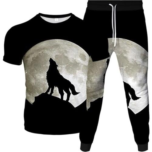 Harajuku Galaxy Planet Moon Animal Wolf 3D Print Men Women 2Pc Set T-Shirt+Trousers Male Sport Clothes Tracksuit Plus Size S-6XL