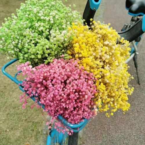 30g/lot,Natural Fresh Preserved Babysbreath flower,Eternal Flowers for Wedding Party Home Decoration accessories,display flower