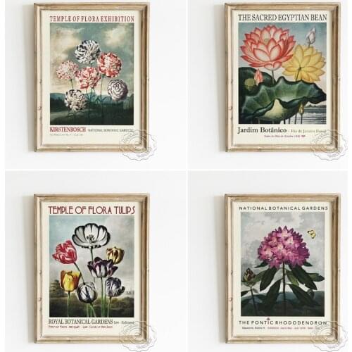 The Temple Of Flora Exhibition Poster, Vintage Art Flowers Canvas Painting, Rhododendron Bird Of Paradise Water Lilies Prints