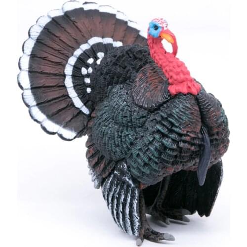 CollectA Wild Life Animals Turkey Bird PVC Plastic Figure Children Simulation Toy Model #88762