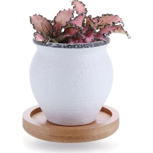 Ceramic Mini Korea Style Snow Serial Succulent Cactus Plant Pot Flower Pot Container Planter With Bamboo Trays