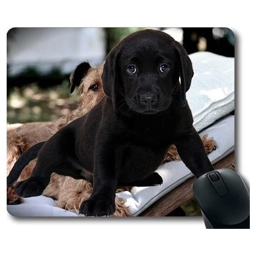 Dog Lover Mouse Pad,Isolated Labrador Dog Animal Purebred Dog Puppy,dogs mouse mat