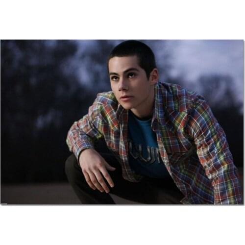 New Arrival Custom Dylan O'Brien Poster Home Decoration Fashion Silk Fabric Wall Poster Customize Poster 27X40cm30X45cm