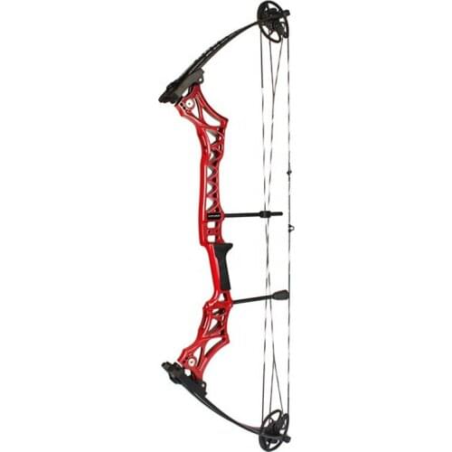 Outdoor Shooting High Quality Composite Pulley Bow 30lbs-70lbs Adjustable Bow Archery Bow Hunting Full Set With Arrows