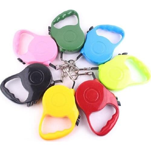 Fashion Pet Dog Leash Automatic Retractable Nylon Dog Chain Outdoor Retractable Leash for Small Dogs Pet Accessories