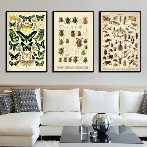 Vintage style canvas painting poster insect specimen painting high quality canvas painting home decoration frameless