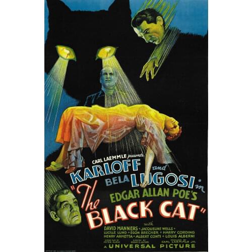 Boris Karloff The Black Cat Vintage Movie Photo Art Film Print Silk Poster for Your Home Wall Decor 24x36inch