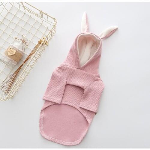 Winter Puppy Hoodie French Bulldog Clothes Pug Clothing Yorkshire Poodle Pomeranian Schnauzer Corgi Frenchies Costume Pet Coat