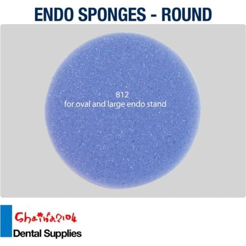 Dental Endo files Sponges Round Large 250pcs