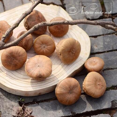 12pcs,Natural Jade mushroom,Dried flowers head for Wedding home Decoration,Flower arrangement accessories,Gift box filler decor