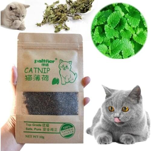 Natural Catnip Cat Treat Balls Pet Catnip Toys Interactive Mice Mouse Kitten Toys Cats Playing Cleaning Teeth Pet Accessories