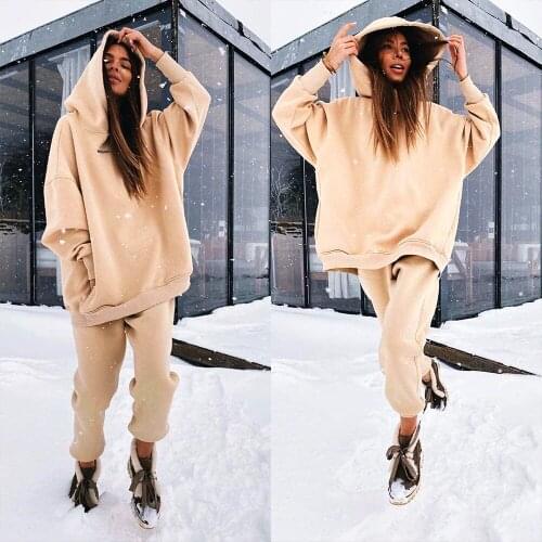 Two Piece Set Womens Tracksuit Autumn Winter Thick Fleece Warm Solid Suit Female Casual Loose Hooded Sweatshirt Outfit 2020 New