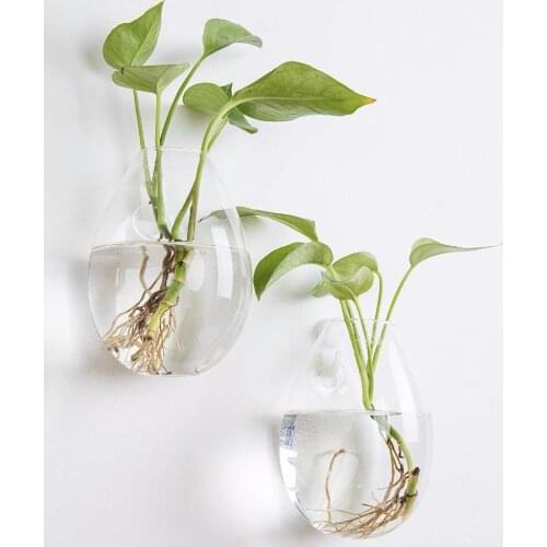 Set of 2 Wall Hanging Planters Glass Plant Terrariums Flower Vase