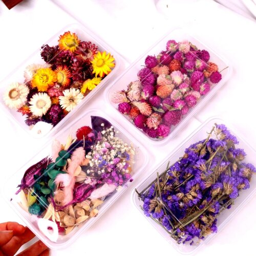 1 Box Real Dried Flower Resin Mold Fillings UV Expoxy Flower For Epoxy Resin Molds Jewelry Making Craft DIY Supplies Accessories