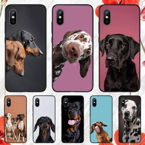 Cute Dachshund dog Phone Case for iPhone 11 12 pro XS MAX 8 7 6 6S Plus X 5S SE 2020 XR mini Funda