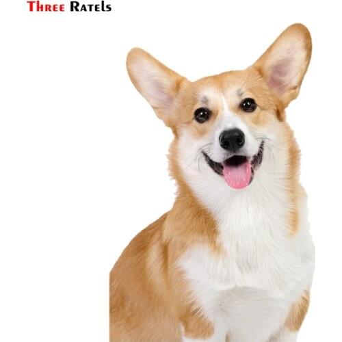 Three ratels FTC-778# 12X18.2CM cute pembroke welsh corgi cardigan welsh orgi dog sticker for Wall Window Suitcase Laptop Mirror