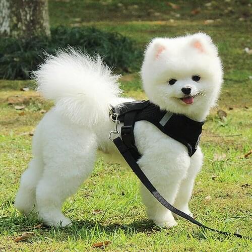 Mesh Fabric Adjustable Harness Vest Walking Lead Leash For Puppy Dogs