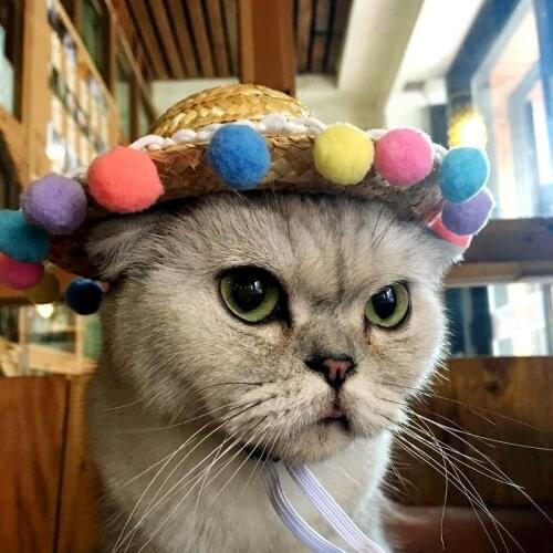 Straw Hat Dog Cap For Dog Hats For Cats Hundehut Mexican Hat Puppy Supplies Hawaii Style Pet Accessories Fashion Cats Caps