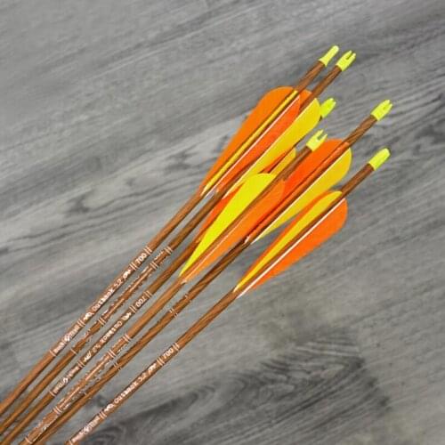 12pcs Archery Carbon Arrow OD6.2mm Arrow Spine 700 With Turkey Feather For Compound Recurve Bows/Longbow