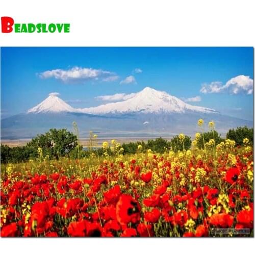 Diamond embroidery poppies background of Mount Ararat diamond mosaic full square round 5 d diamond painting sale landscape